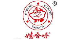 娃哈哈-渦街流量計(jì)